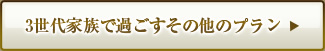 3世代家族で過ごすその他のプラン
