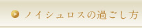 ノイシュロスの過ごし方