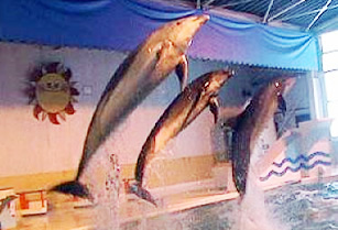 小樽水族館