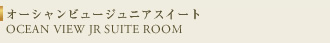 オーシャンビュージュニアスイート OCEAN VIEW JR SUITE ROOM