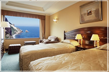 オーシャンフロントツインルームAタイプ OCEAN FRONT TWIN ROOM-A