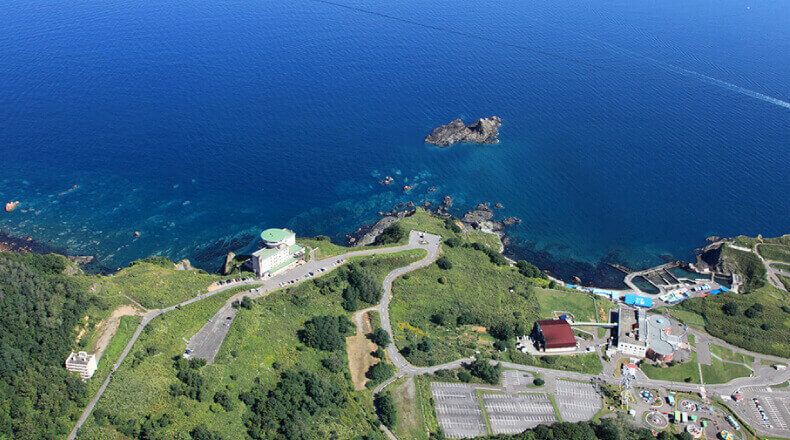 小樽・日本海に囲まれたオーシャンビューリゾート ocean view resort　新しい旅のスタイル　どうみん割　GOTOトラベルキャンペーン