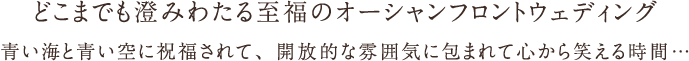 どこまでも澄みわたる至福のオーシャンフロントウェディング青い海と青い空に祝福されて、開放的な雰囲気に包まれて心から笑える時間…