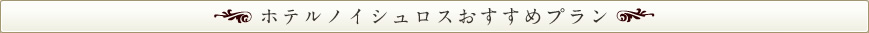 ホテルノイシュロス おすすめプラン