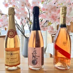 4月30日までの期間限定！グラスの中を桜色に染めるロゼワインでこころ華やぐひとときを・・・
