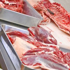 料理長　徳橋啓介が賞味会で使用するお肉を探しに北広島市に伺いました。
