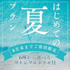 【オフィシャルHP＆ノイシュロス初めての方限定】夕食時に選べるワインボトル付き「初めての夏宿泊プラン」