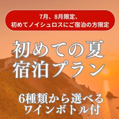 【オフィシャルHP＆ノイシュロス初めての方限定】夕食時に選べるワインボトル付き「初めての夏宿泊プラン」