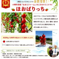 【人気急上昇】小樽なまらファームのミニトマト「ほおばりっち」好評販売中！！
